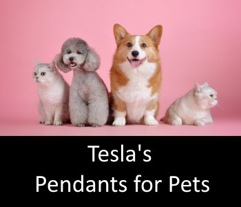 Teslas Pendants for Pets